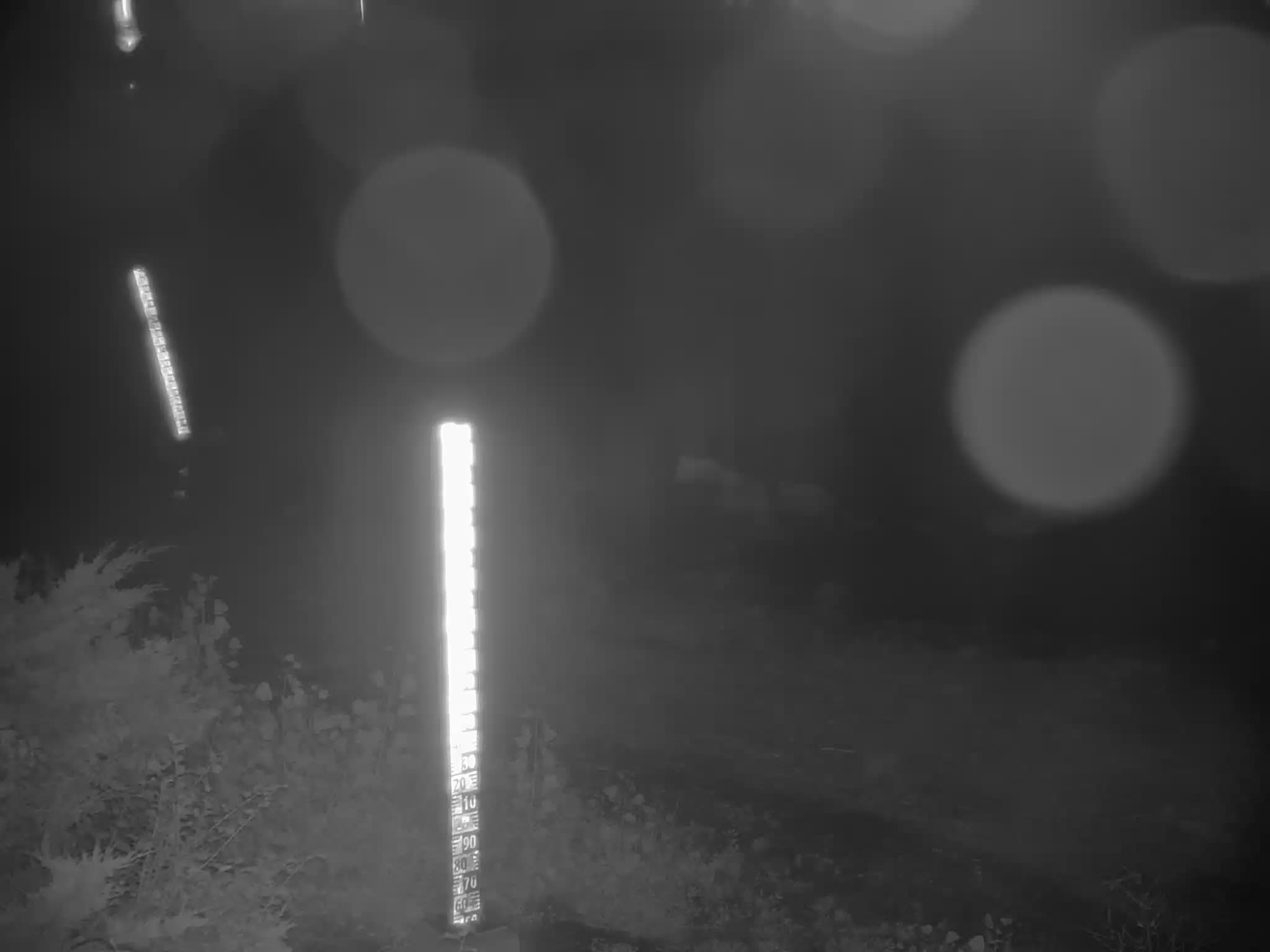 image de la station 01_RDP11 à 2026-08-29T05:45:01Z