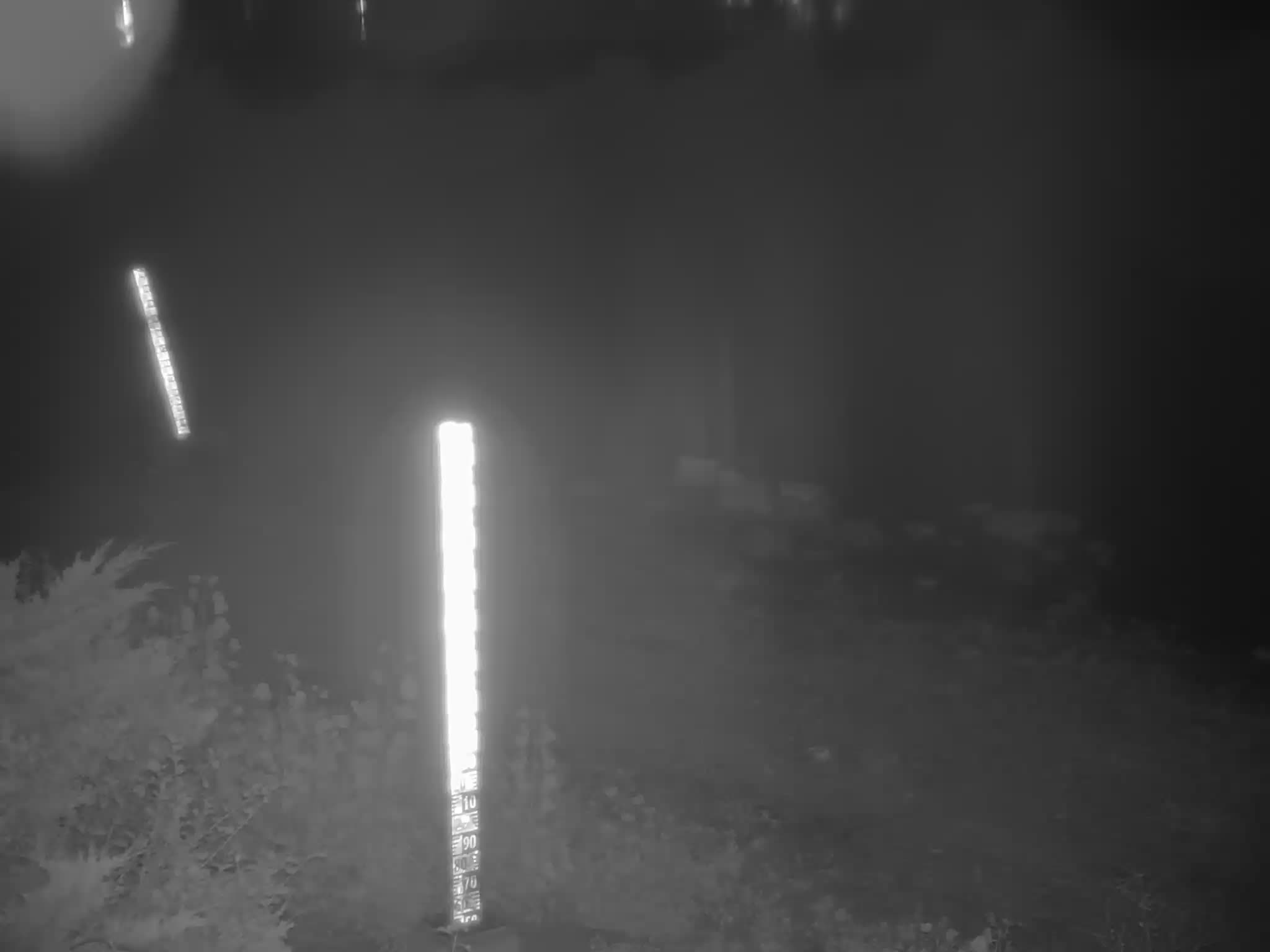 image de la station 01_RDP11 à 2026-08-31T05:45:01Z