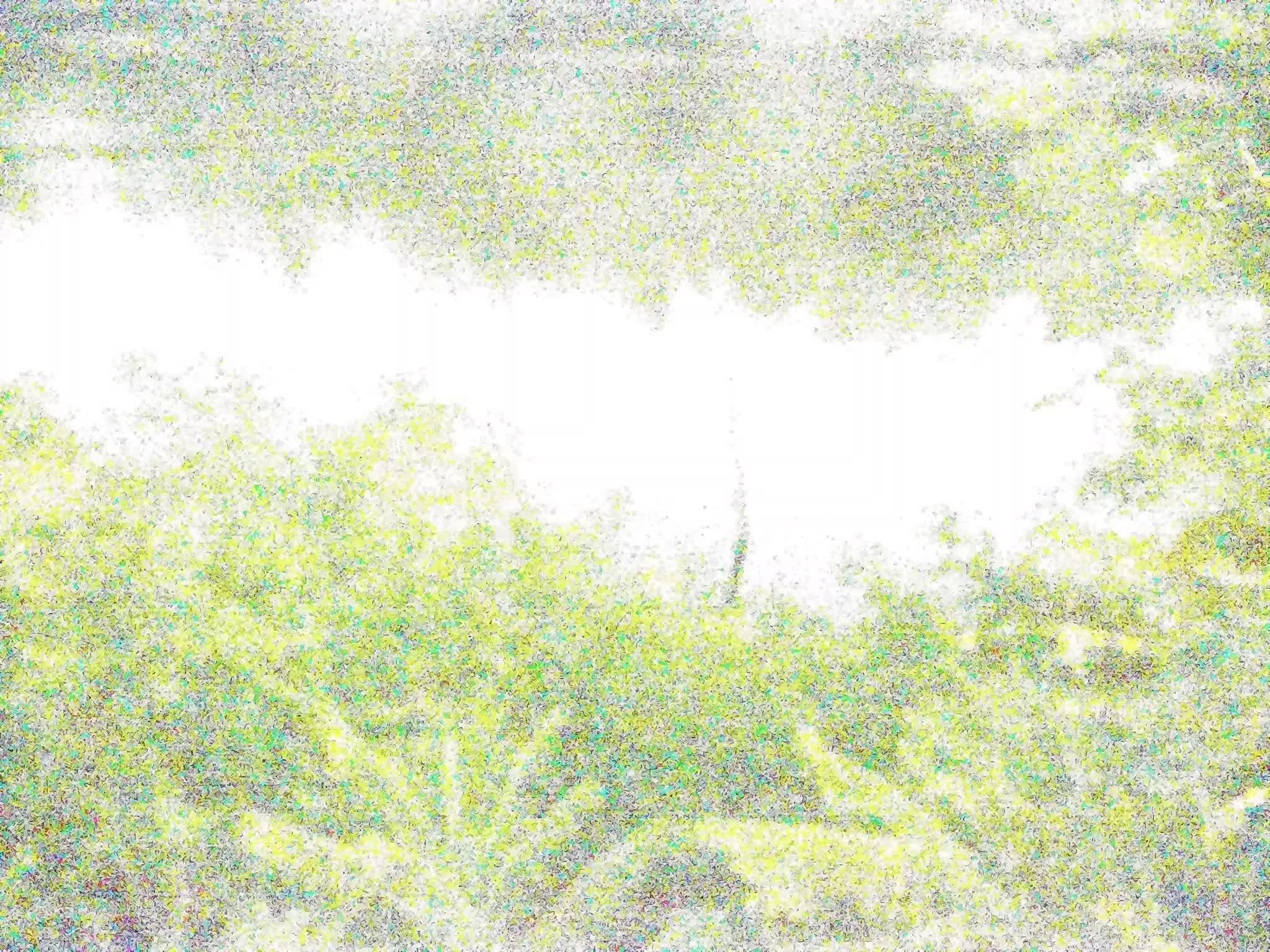 image de la station 21_RMI31 à 2026-09-01T07:45:01Z
