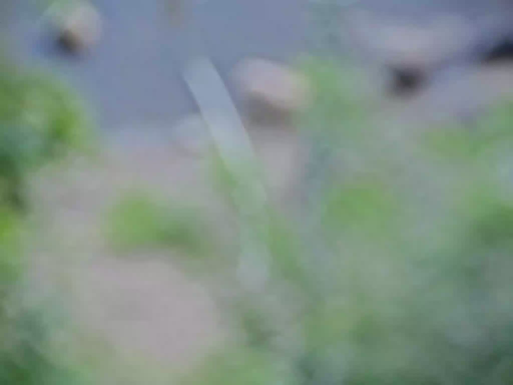 image de la station 26_RMI06 à 2026-08-31T22:45:01Z
