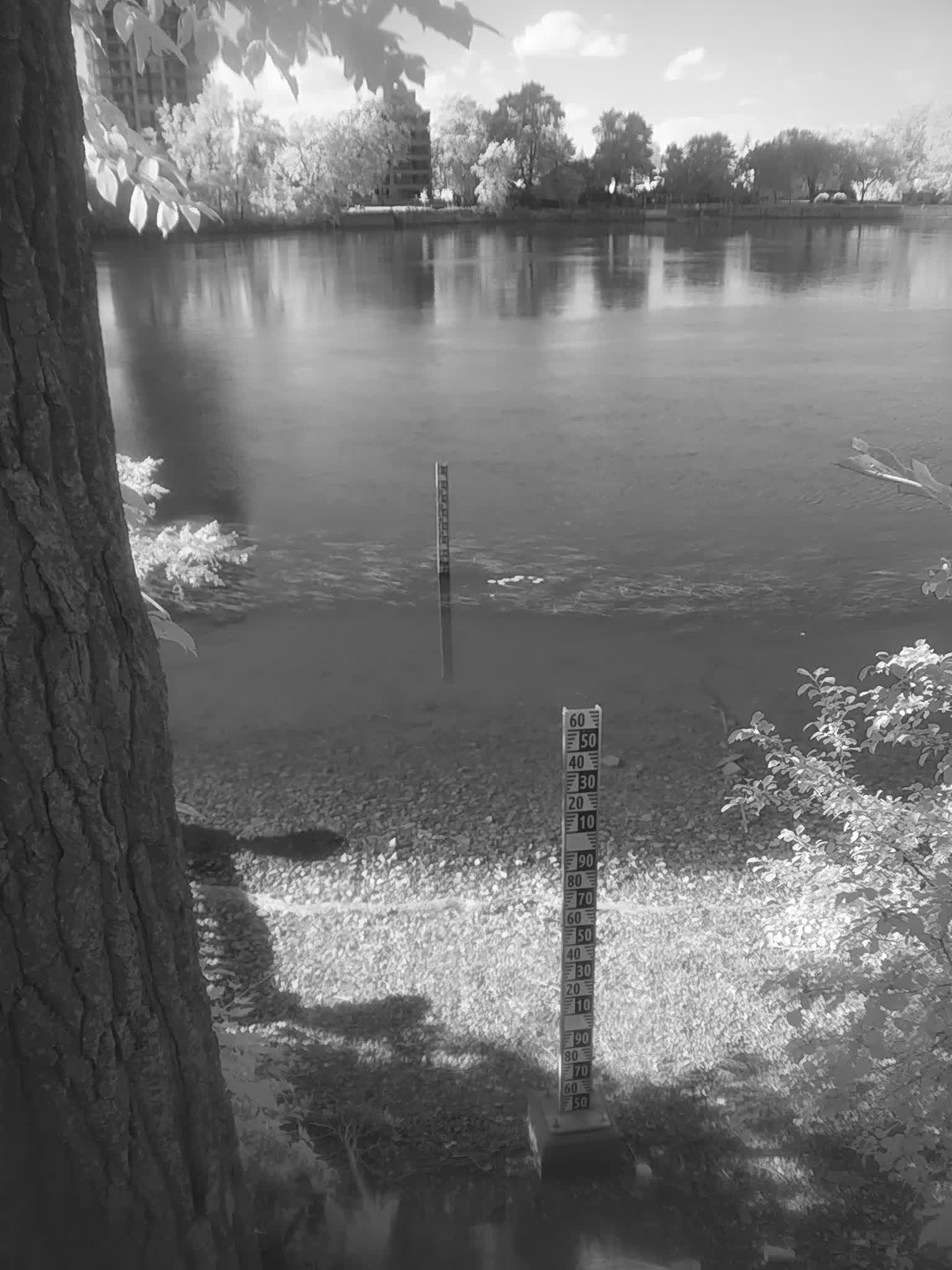 image de la station 33_RDP23 à 2026-08-31T20:45:02Z