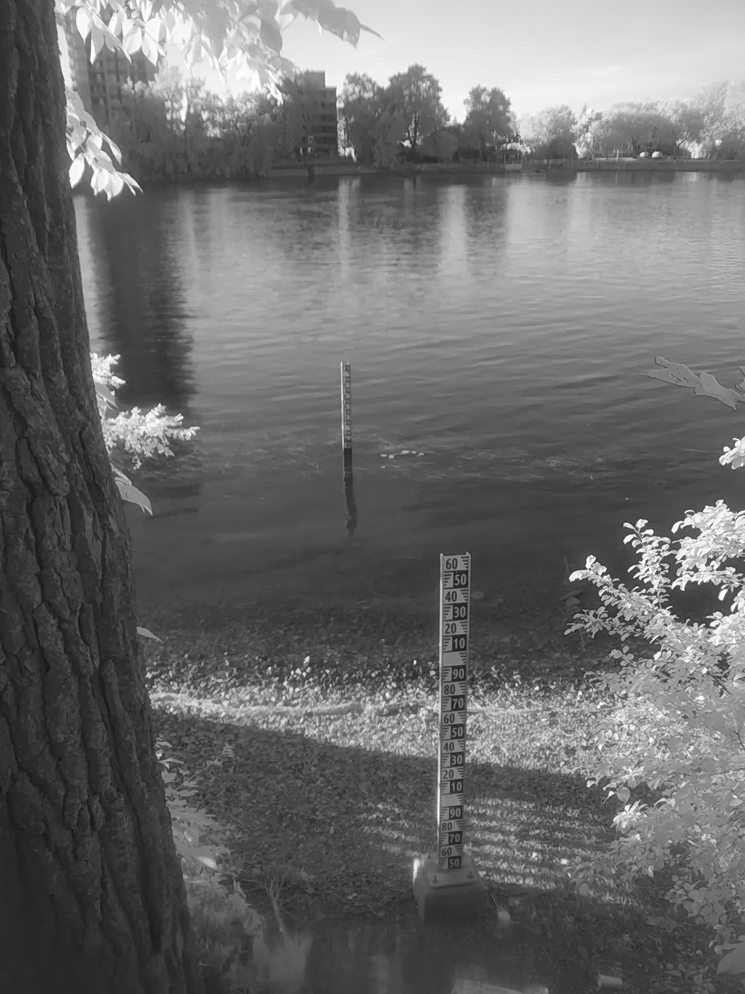 Photo de la station 33_RDP23 datant du 2026-08-31T22:15:01Z