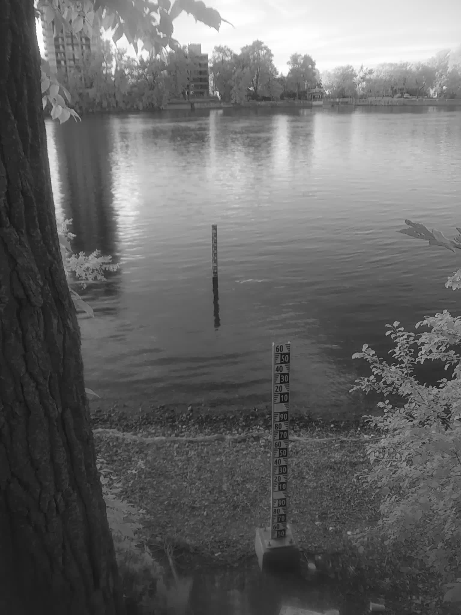 image de la station 33_RDP23 à 2026-08-31T22:45:01Z