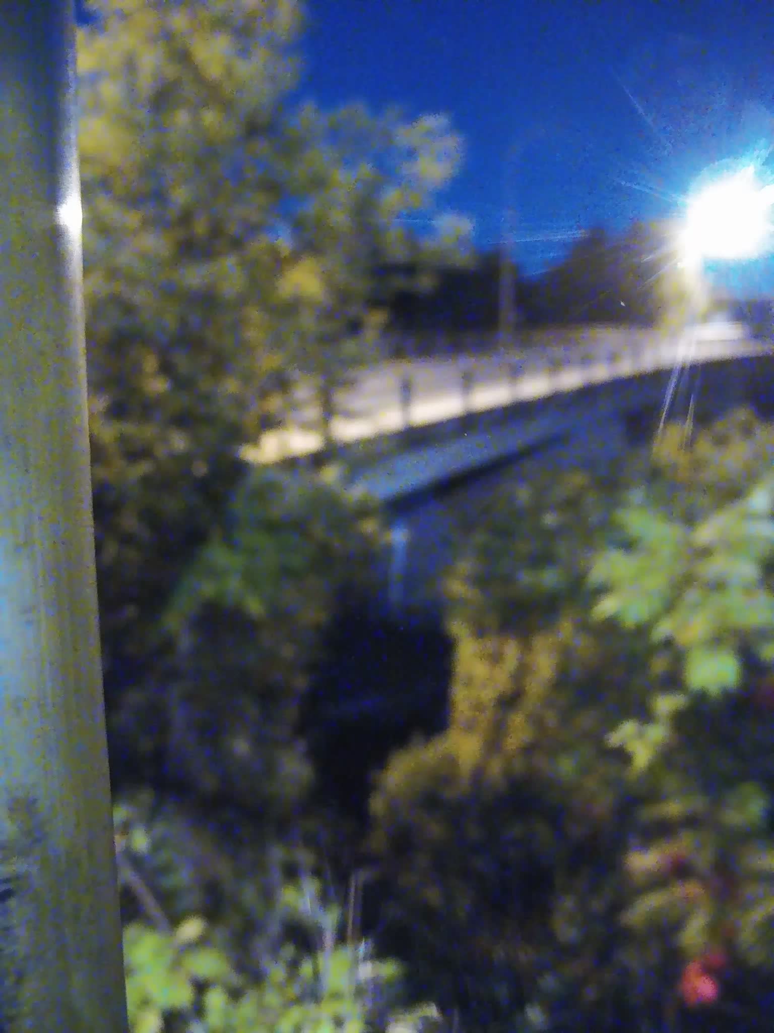 image de la station 45_ASS01 à 2026-08-31T05:45:01Z
