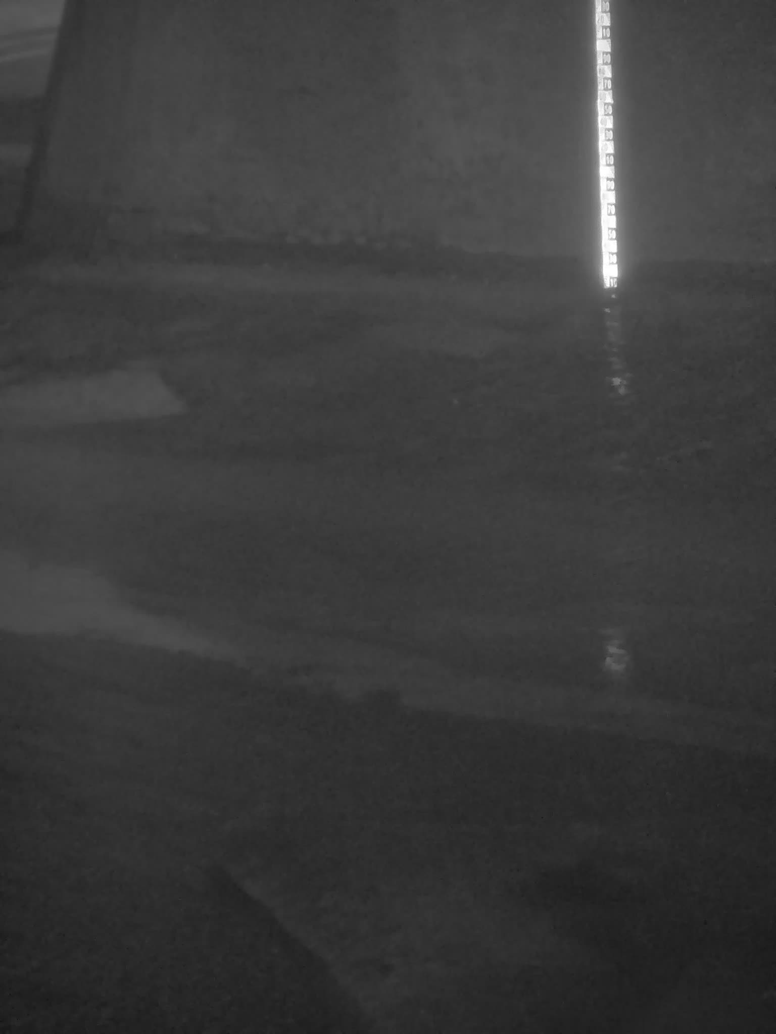 Photo de la station 61_RIC01 datant du 2026-03-07T23:15:01Z