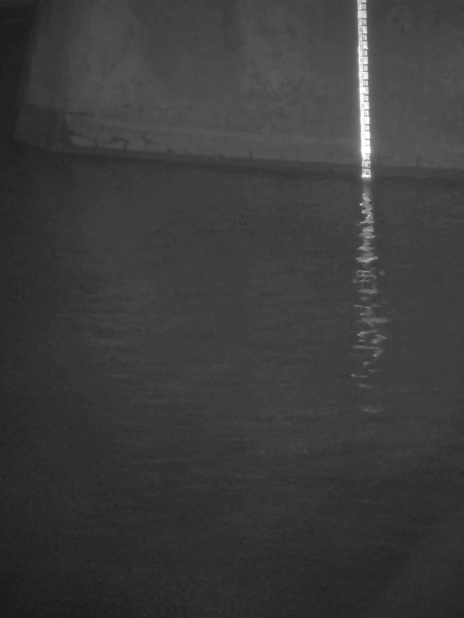 image de la station 61_RIC01 à 2026-03-12T04:00:01Z