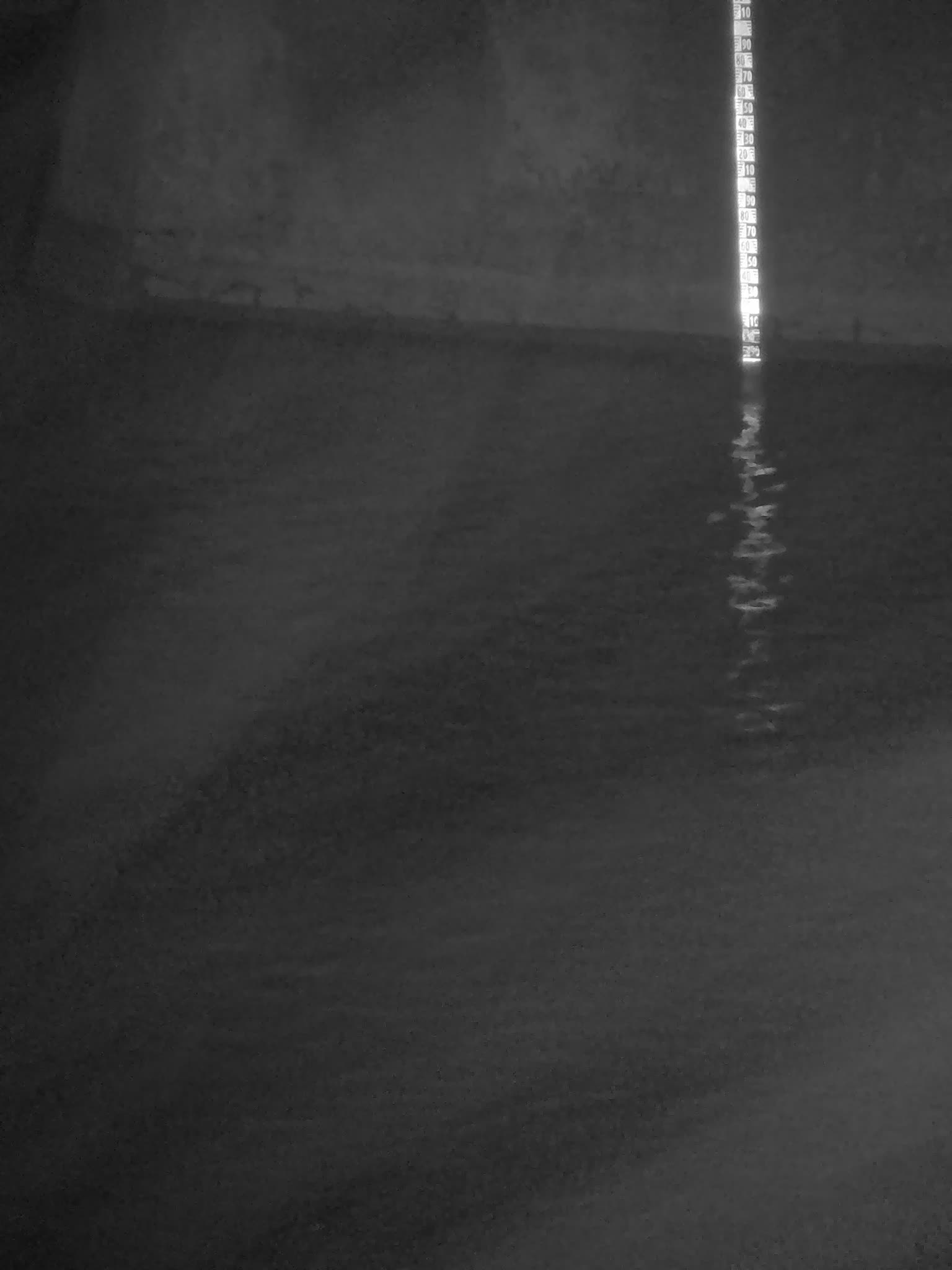 image de la station 61_RIC01 à 2026-03-12T06:00:01Z