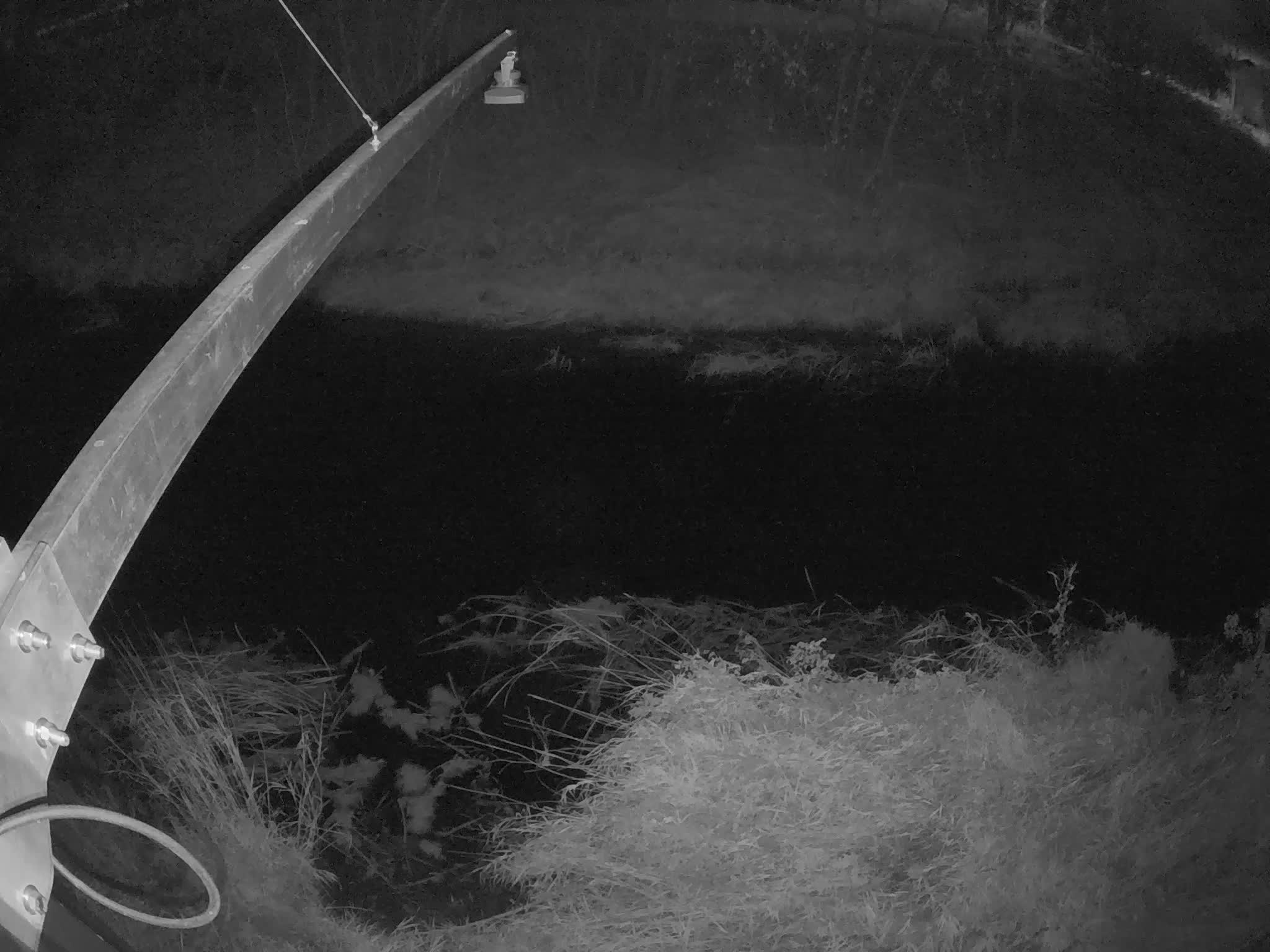 image de la station 75_REG01 à 2024-11-06T23:30:01Z