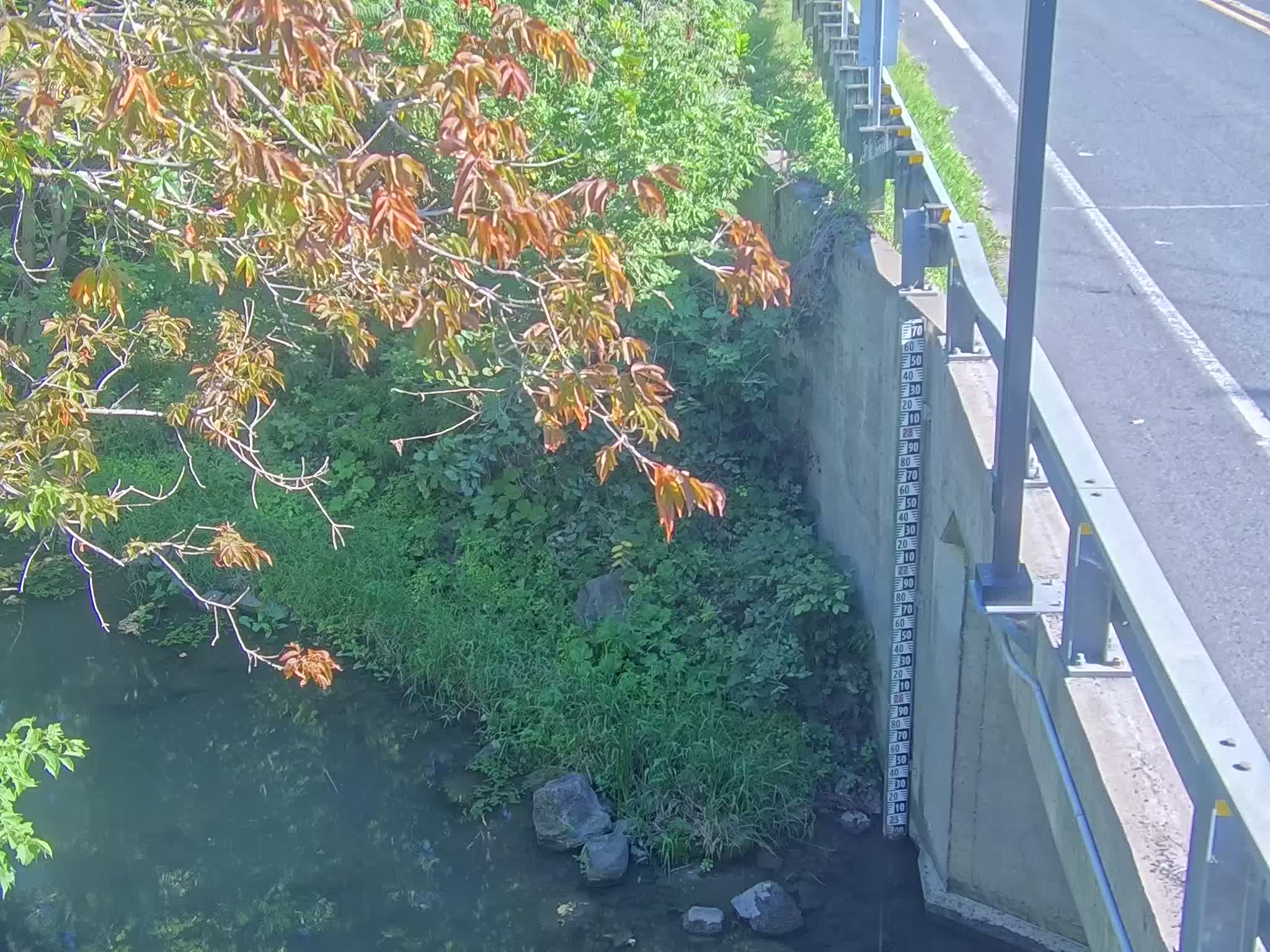 image de la station 82_JAC02 à 2026-09-01T20:45:01Z